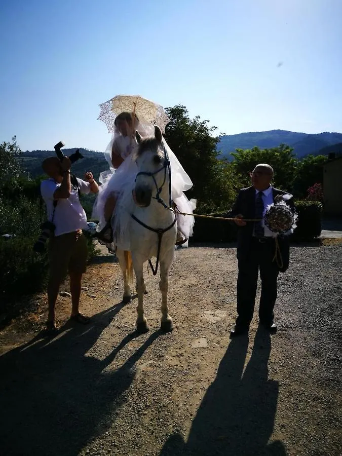Agriturismo Antico Loggiato Pontassieve 0*,
